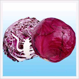 Cabbage, Red Ball
